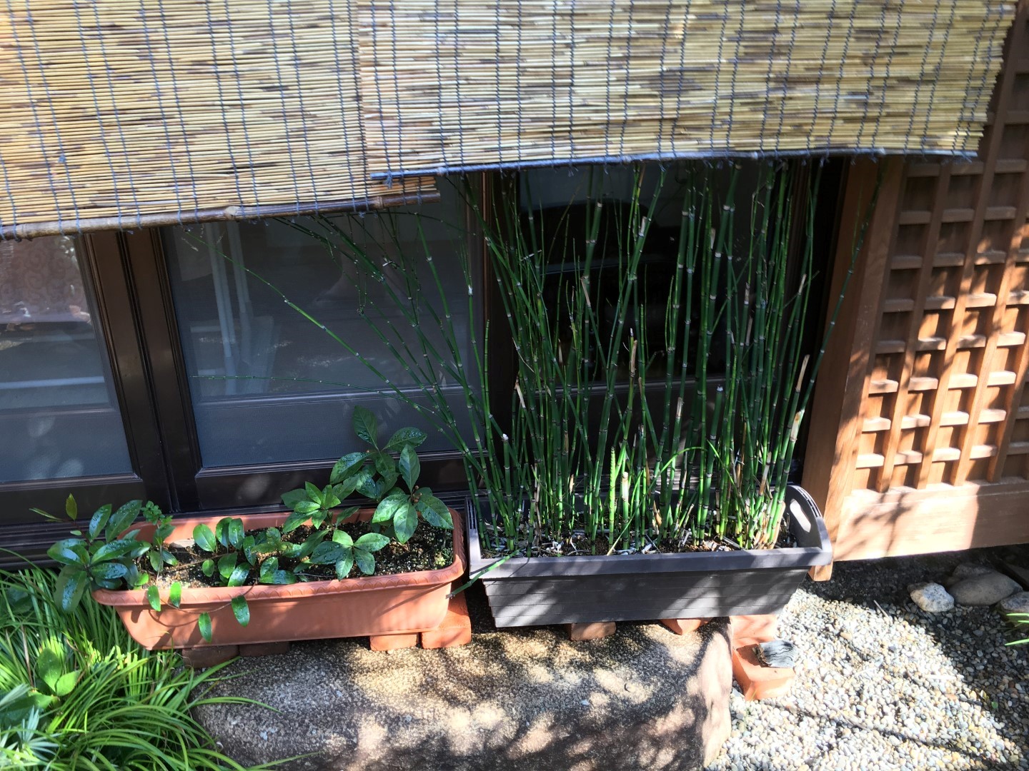 2015-10-16 09.46.58 HDR