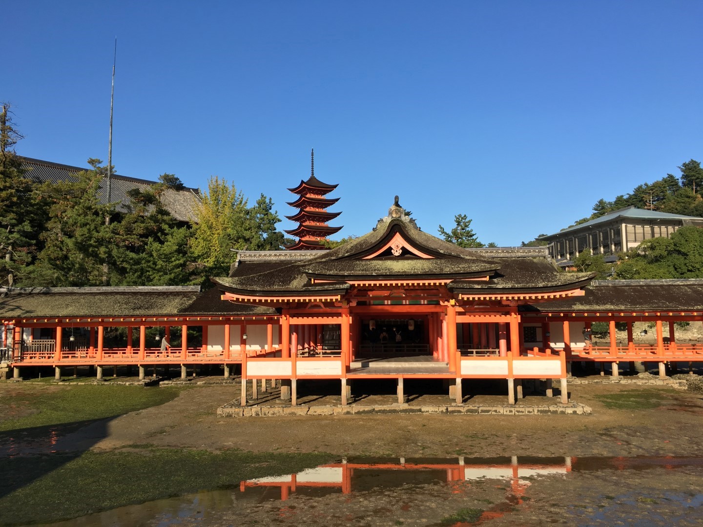 2015-10-17 16.04.20 HDR